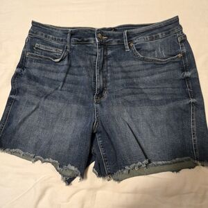 Judy Blue Denim Shorts  Unfinished Hem In 2XL